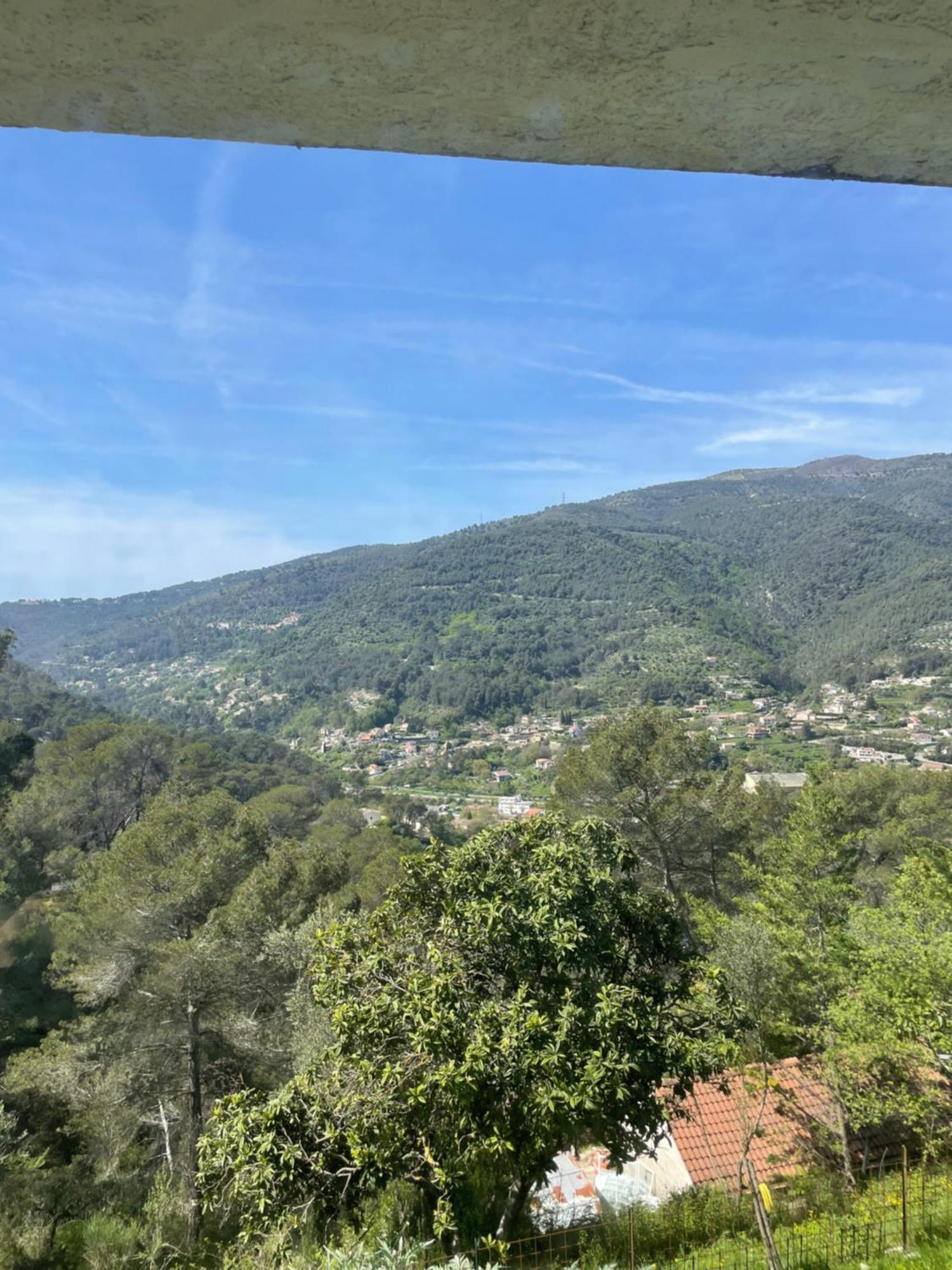 Charme Provencal Pres De Nice Blausasc 外观 照片